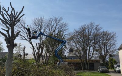 élagage d’arbres au collège Saint‑Joseph à Plouescat