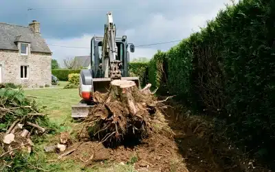 Prix d&rsquo;un arrachage de haie dans le Finistère : tarifs au mètre et devis