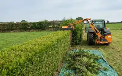 Prix d’une taille de haie dans le Finistère : tarifs au mètre et au m²