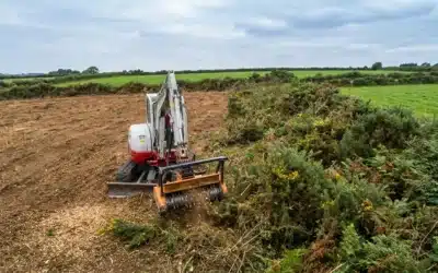 Tarif d’un débroussaillage dans le Finistère : prix au m² et devis
